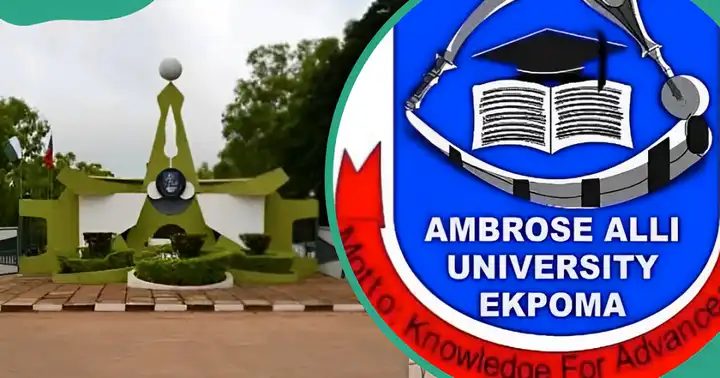 AAU Ekpoma cut-off mark