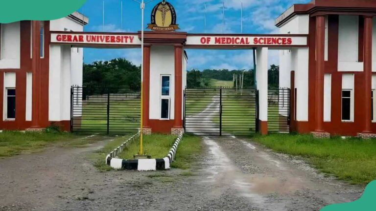 GUMED Post-UTME