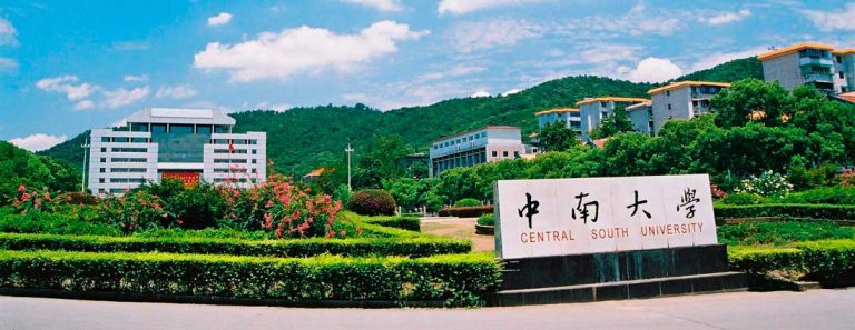 Central South University Scholarship