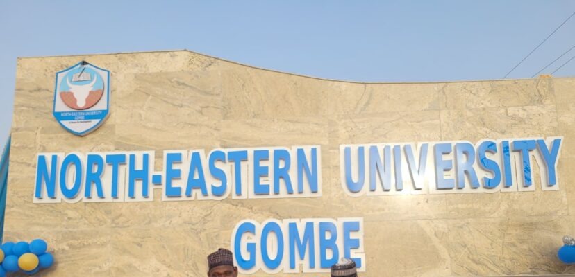 North-Eastern University Post-UTME