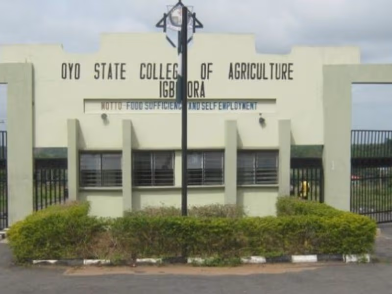 OYSCATECH Post-UTME