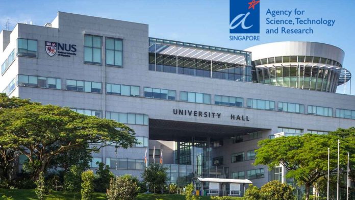 Singapore ACIS Scholarship