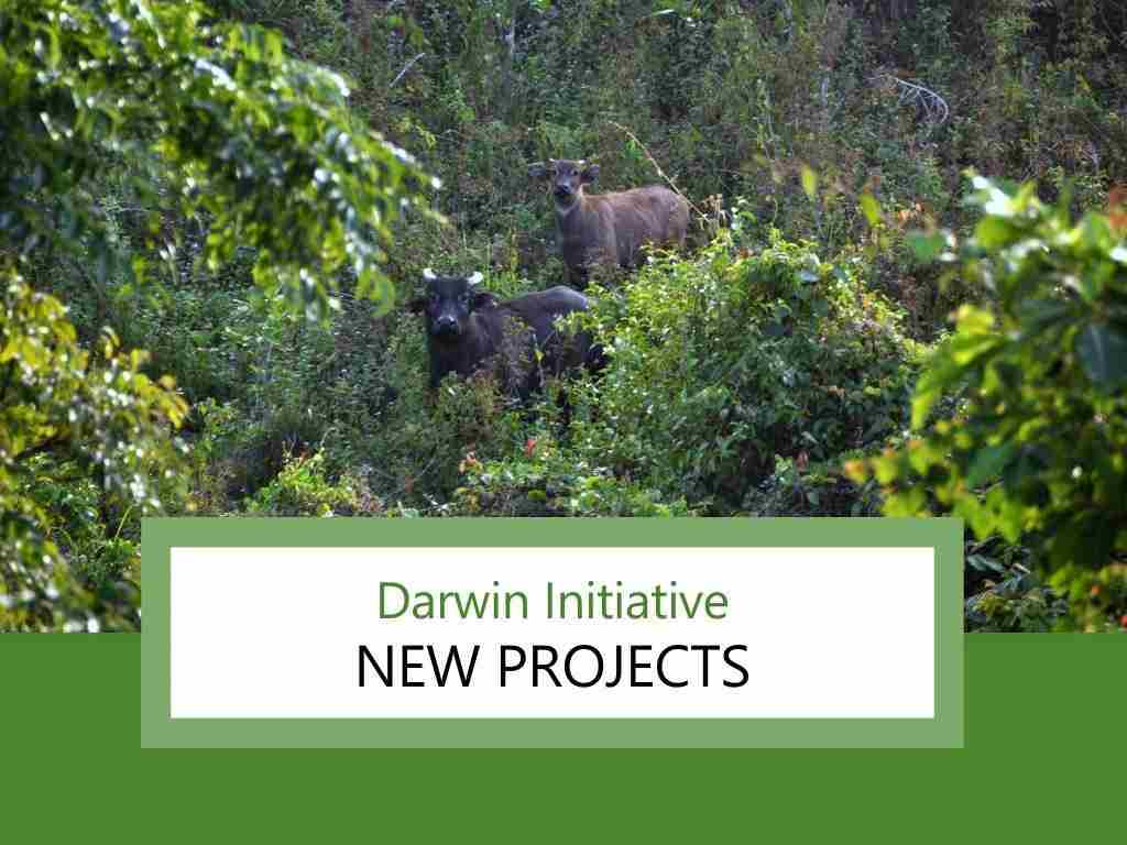 Darwin Initiative