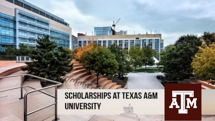 Texas A&M University Scholarships